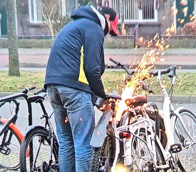 Afbeelding Diefstal elektrische fiets - Boschdijk - Eindhoven