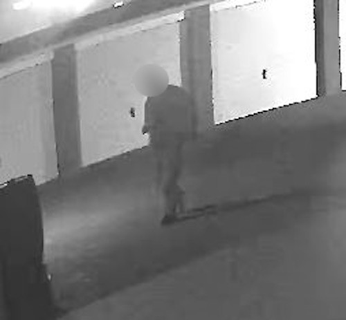 De mogelijke getuige