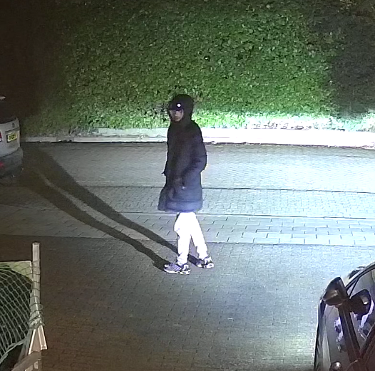 Afbeelding De verdachte(n) die inbraken bij Volkswagens in Didam, Zevenaar en Duiven.