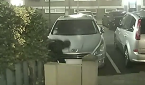 De verdachte bij de auto die hij even later in brand zou steken.