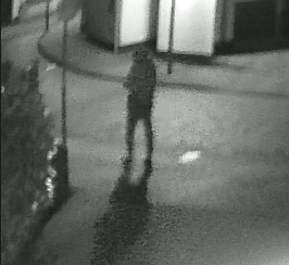 Afbeelding De verdachte.