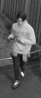 Diefstal uit schuur – Reggelaan – Zwolle