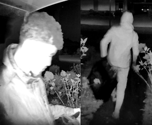 Woninginbraak – Teubenweg – Keijenborg