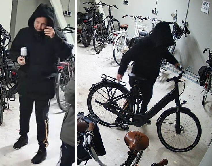 Fietsendief