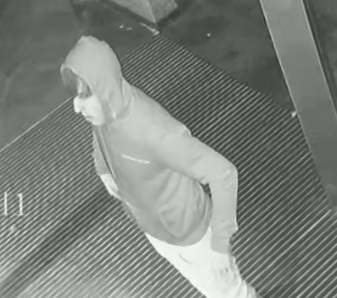 Vernieling – Anjelierstraat – Wierden