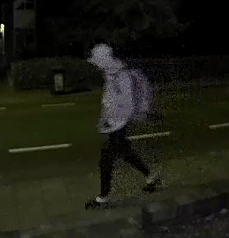 Foto van de verdachte.