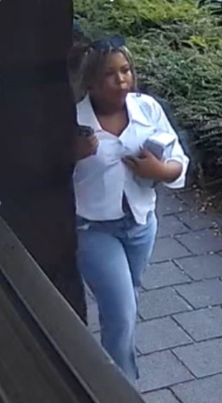 VE_roerdomplaan
