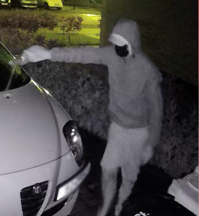 Verdachte Mr. P.J. Troelstralaan