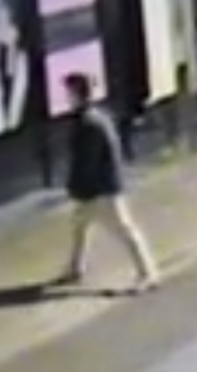 Signalement verdachte