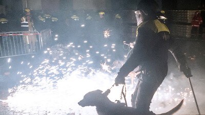 oefening, vuurwerk, oud en nieuw, oudjaar, nieuwjaar, mobiele eenheid, hondengeleider, hondenbrigade, Foto: Korpsmedia / Peter Monteny