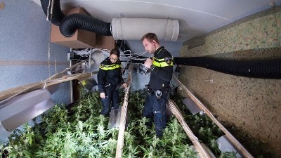 Meld Misdaad Anoniem helpt politie bij drugsvondsten