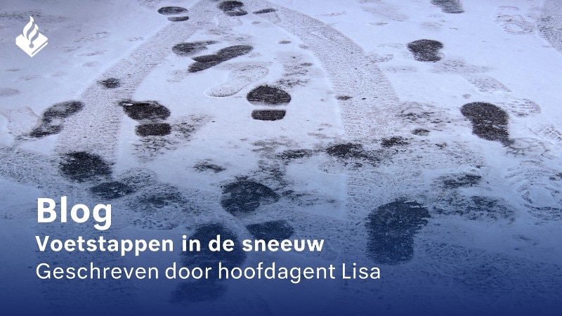blog voetstappen in de sneeuw