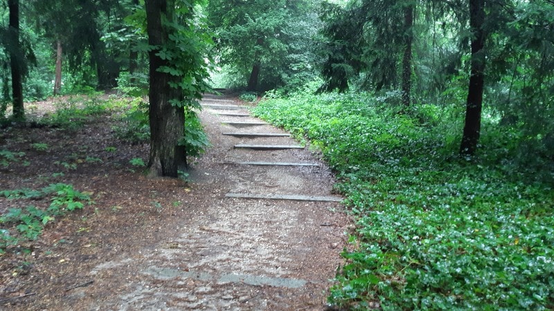 man mishandeld in park