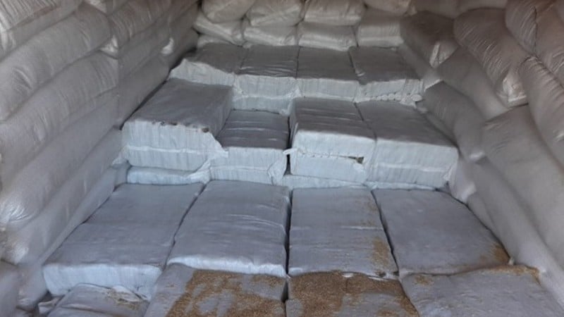 partij cocaine in container