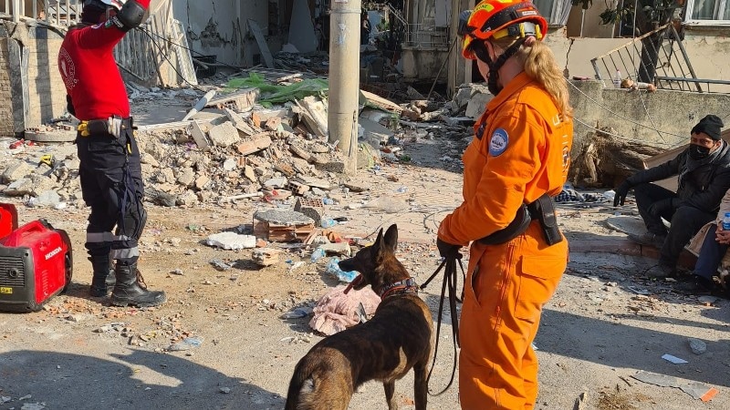 Sabine Comello met haar hond Myka voor USAR.NL aan het werk in Turkije