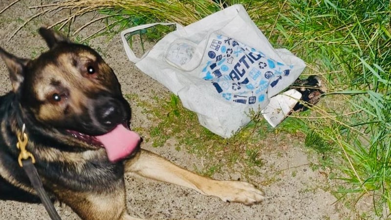 Foto van de hond met de tas van de verdachten