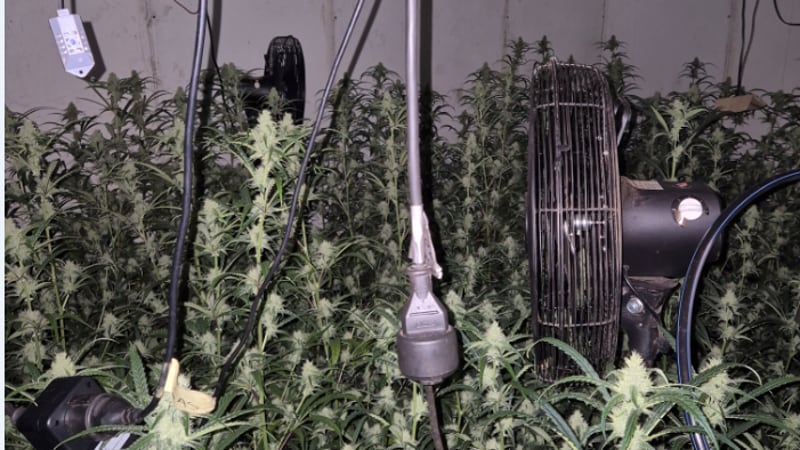 Je ziet een foto van het brandgevaar in een hennepkwekerij.