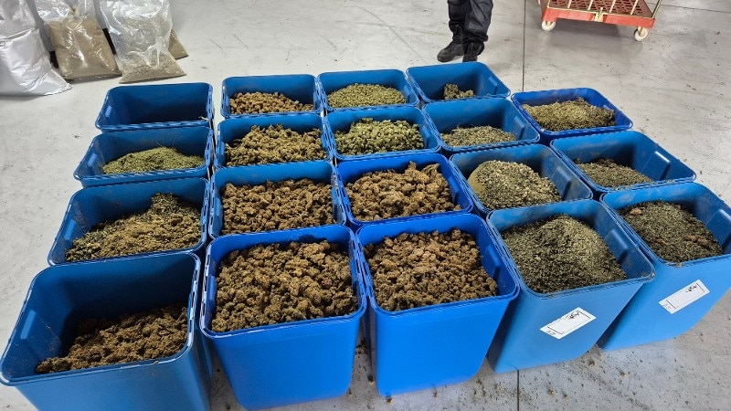 Ondermijningscontrole boerderijen leidt tot hennepvondst