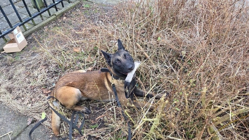 Twee minderjarigen op heterdaad aangehouden na poging auto-inbraak in Hoogkarspel