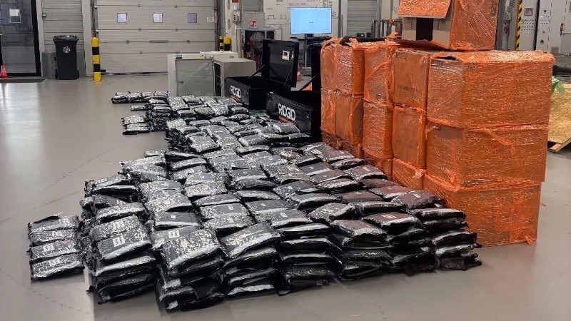 Niet-Europese hennep is gat in de markt voor Nederlandse drugscriminelen