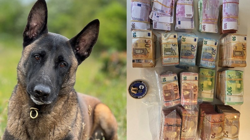 links politiehond Monster