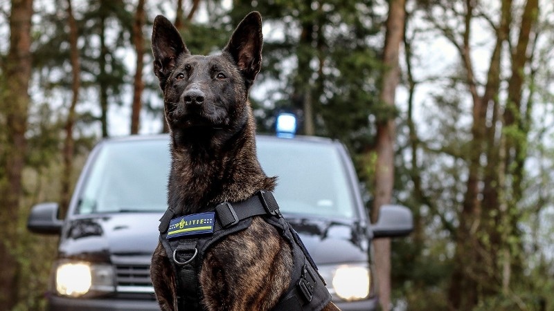 Anonieme tip leidt naar € 275.000 euro contant en meer dan een miljoen aan crypto. Drietal uit Rotte