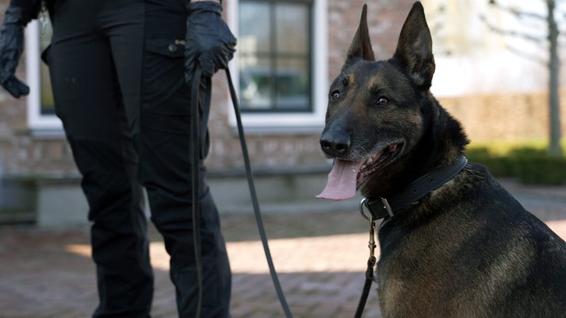 Aanhoudingen voor witwassen, beslag gelegd op woning