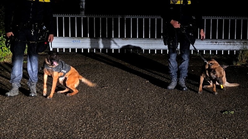Politiehonden Noord-Holland
