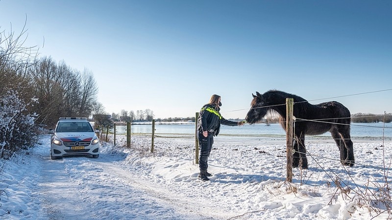 dierenpolitie, foto ter illustratie, met het paard was alles in orde,  Foto: Korpsmedia politie