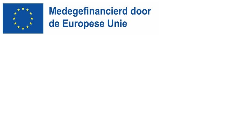 logo Medegefinancierd door de Europese Unie