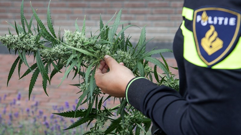 Politie ontdekt hennepkwekerij in garagebox in Scheveningen