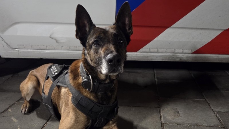 Diensthond Appie te rap voor twee verdachten inbraak Hoogwoud