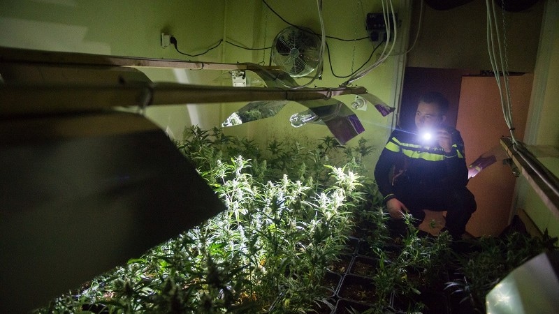 Vijf verdachten opgepakt na ontdekking hennepkwekerij in Waalwijk