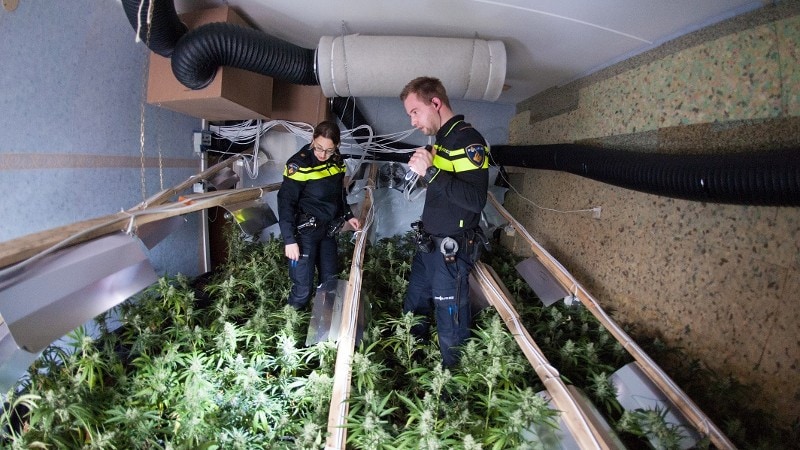 Meld Misdaad Anoniem helpt politie bij drugsvondsten