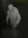 Wie stal een beveiligingscamera in Zwartsluis?