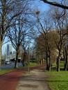 Zware mishandeling - Parallelweg - Den Haag